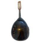 Electro oud professionnelle – Image 2